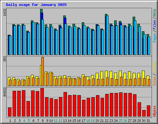 Daily usage for January 2025