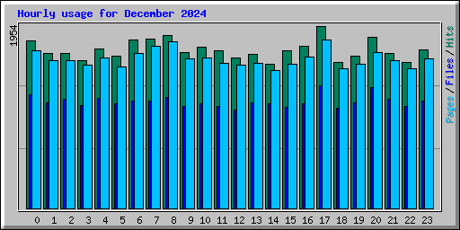 Hourly usage for December 2024
