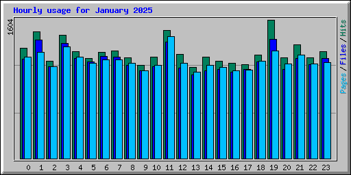 Hourly usage for January 2025