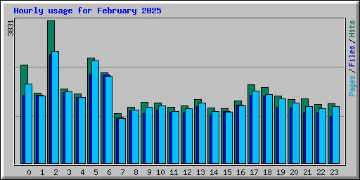 Hourly usage for February 2025