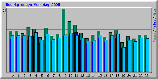 Hourly usage for May 2025