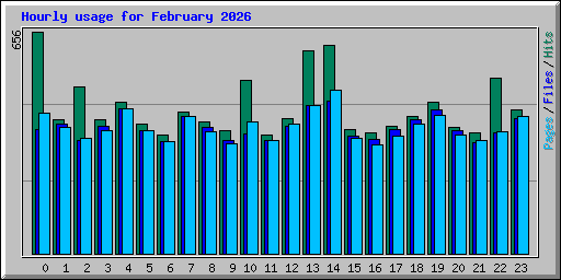 Hourly usage for February 2026